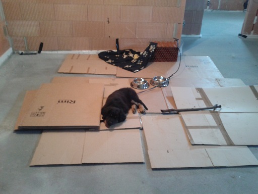 Max pomáhá na stavbě
